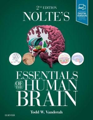 Nolte's Essentials of the Human Brain, 2nd Edition - 95e229c06f20d05612d1dca82b6f369a