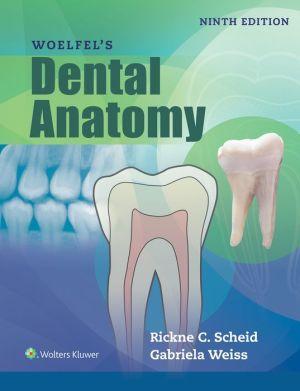 Woefel's Dental Anatomy 9e - a36e8e1f64b8a6347a659f4a4a3414b4