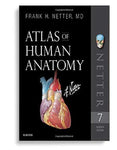 Atlas of Human Anatomy 7th Edition by Frank H. Netter