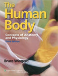 The Human Body: Essentials of Anatomy and Physiology, 3E - cf09bb62888427a8fc1fba84b86bf5b7