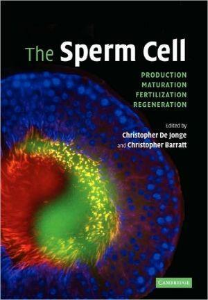 The Sperm Cell - e709e15bcdcf7d252bb87dd1a449d940