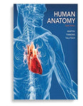 Human Anatomy 8th Edition by Frederic H. Martini