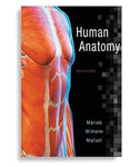 Human Anatomy 8th Edition