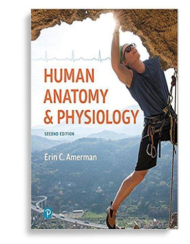 Human Anatomy & Physiology (2nd Edition ) 2nd Edition