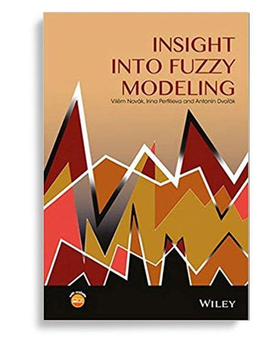 Insight Into Fuzzy Modeling 1st Edition